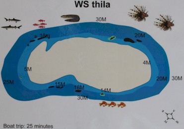 WS Thila